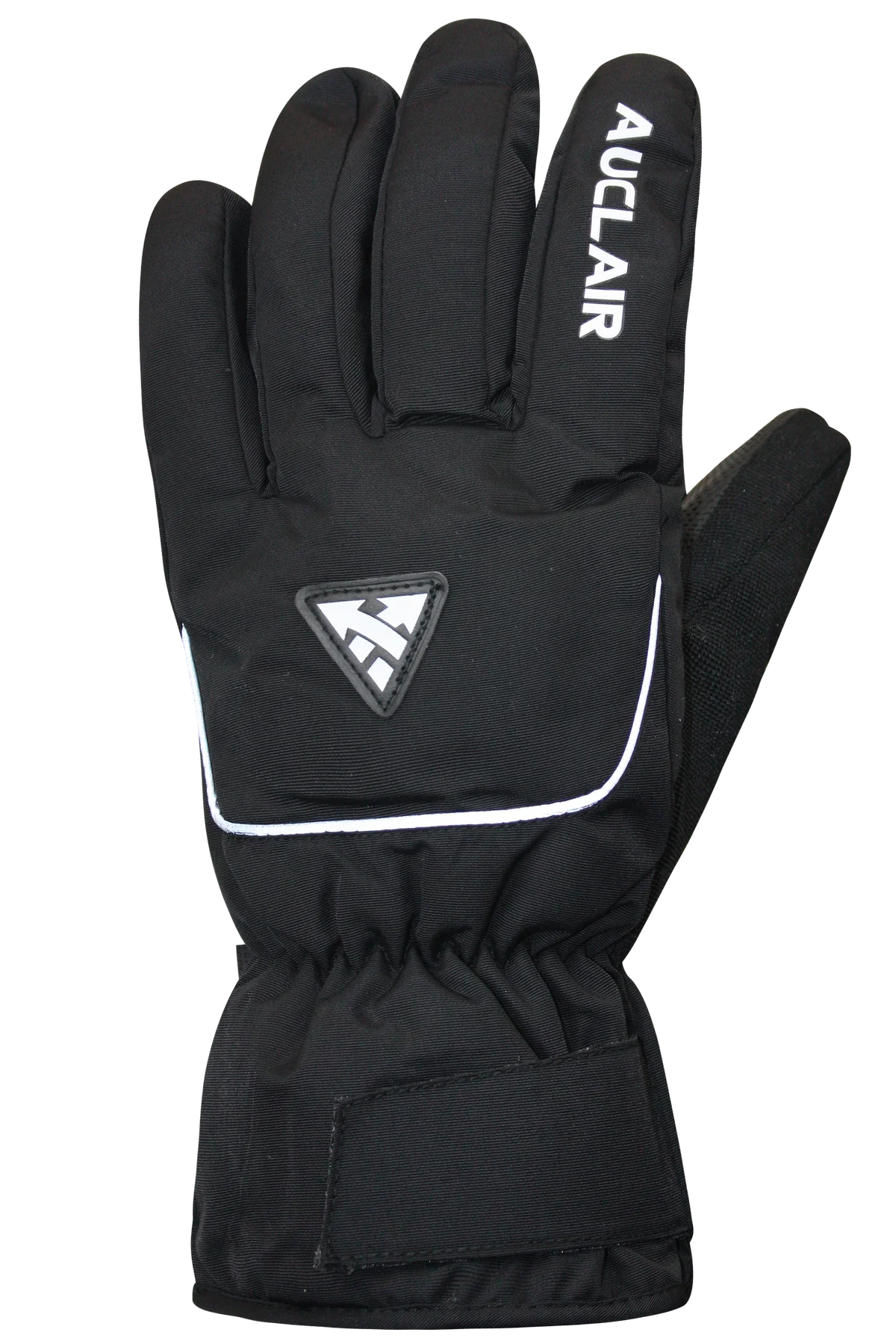 Auclair Horizon Ski Glove Mens