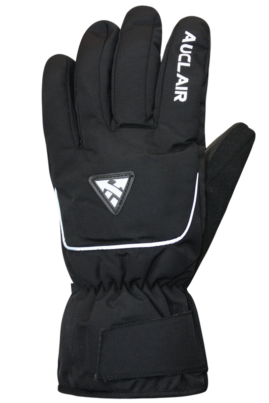 Auclair Horizon Ski Glove Mens