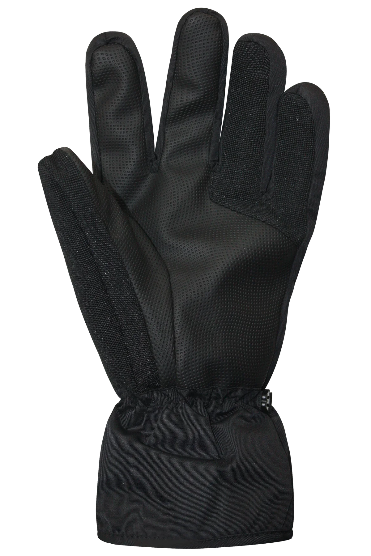 Auclair Horizon Ski Glove Mens